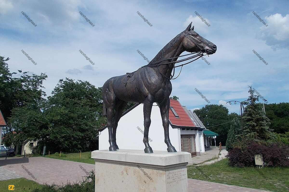 کینکسم؛ سریعترین اسب دنیا که تمام مسابقاتش را بُرد و جاودانه شد کینکسم؛ سریعترین اسب دنیا که تمام مسابقاتش را بُرد و جاودانه شد