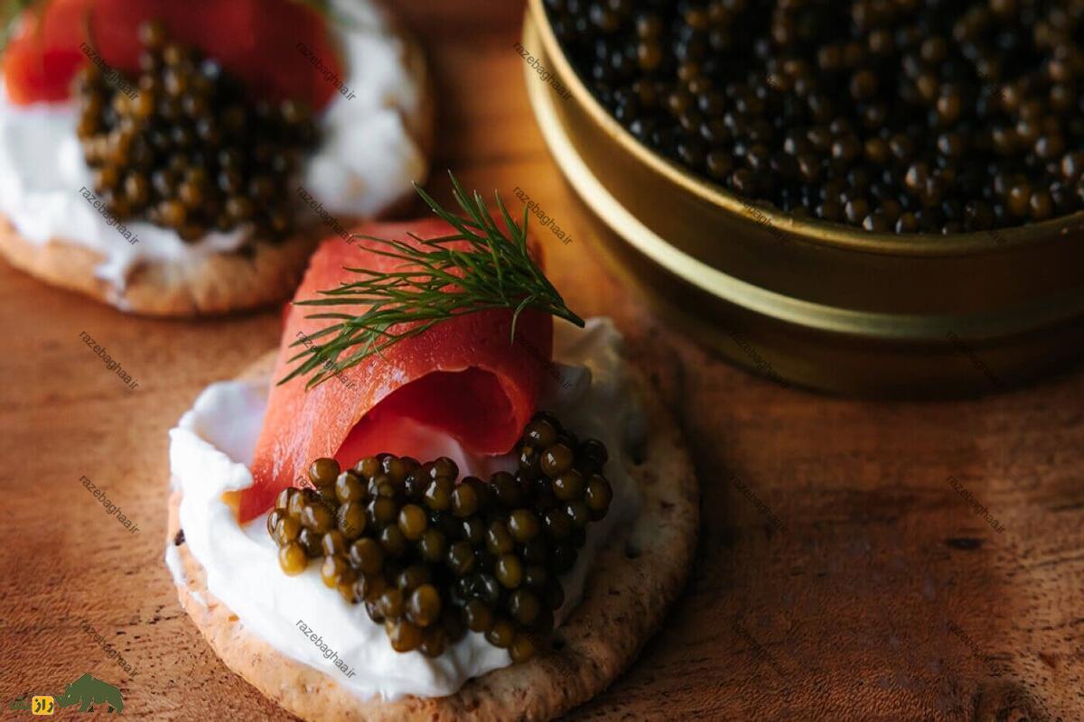 ماهی چالباش ماهی چالباش