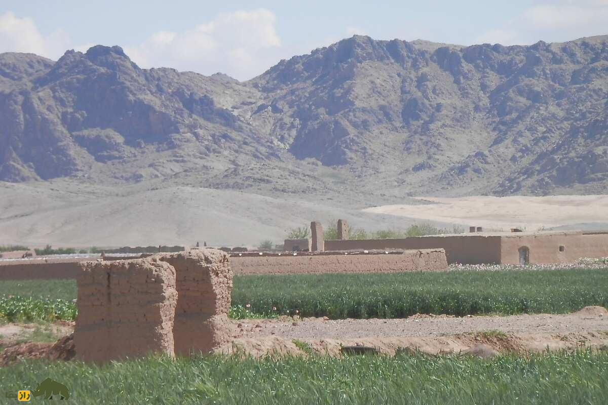 راز روستای میوند افغانستان؛ چگونه لُرهای بختیاری این روستا را بنا کردند؟ راز روستای میوند افغانستان؛ چگونه لُرهای بختیاری این روستا را بنا کردند؟