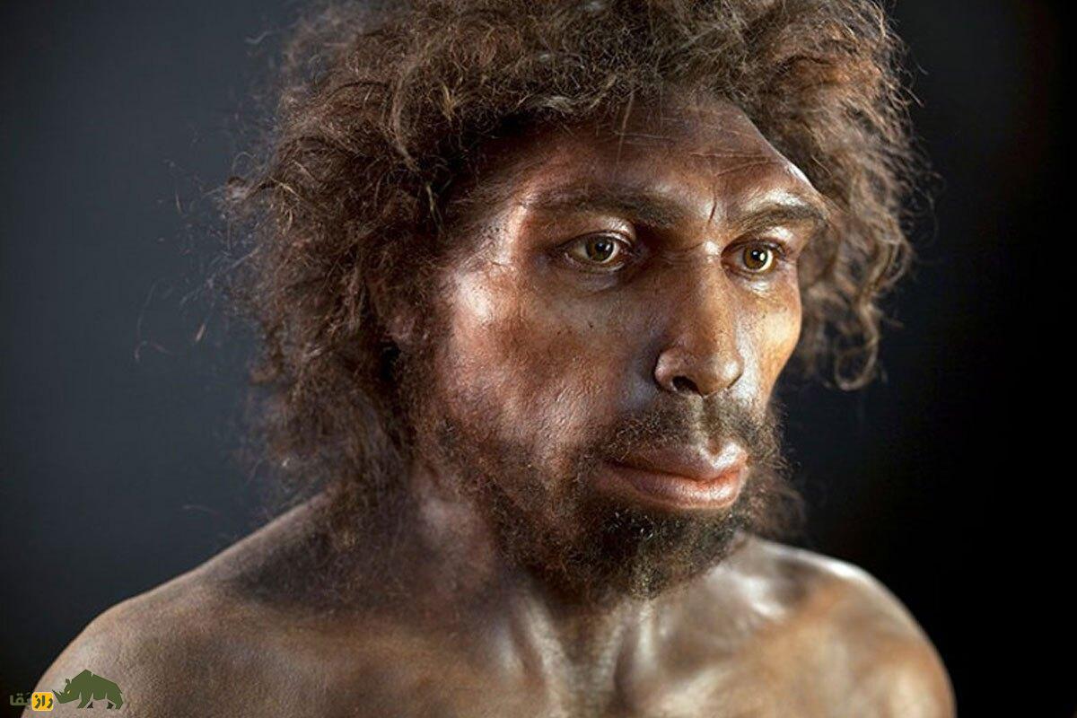 ازدواج و طلاق در انسان‌های اولیه؛ اولین ازدواج جهان کی و کجا انجام شد؟