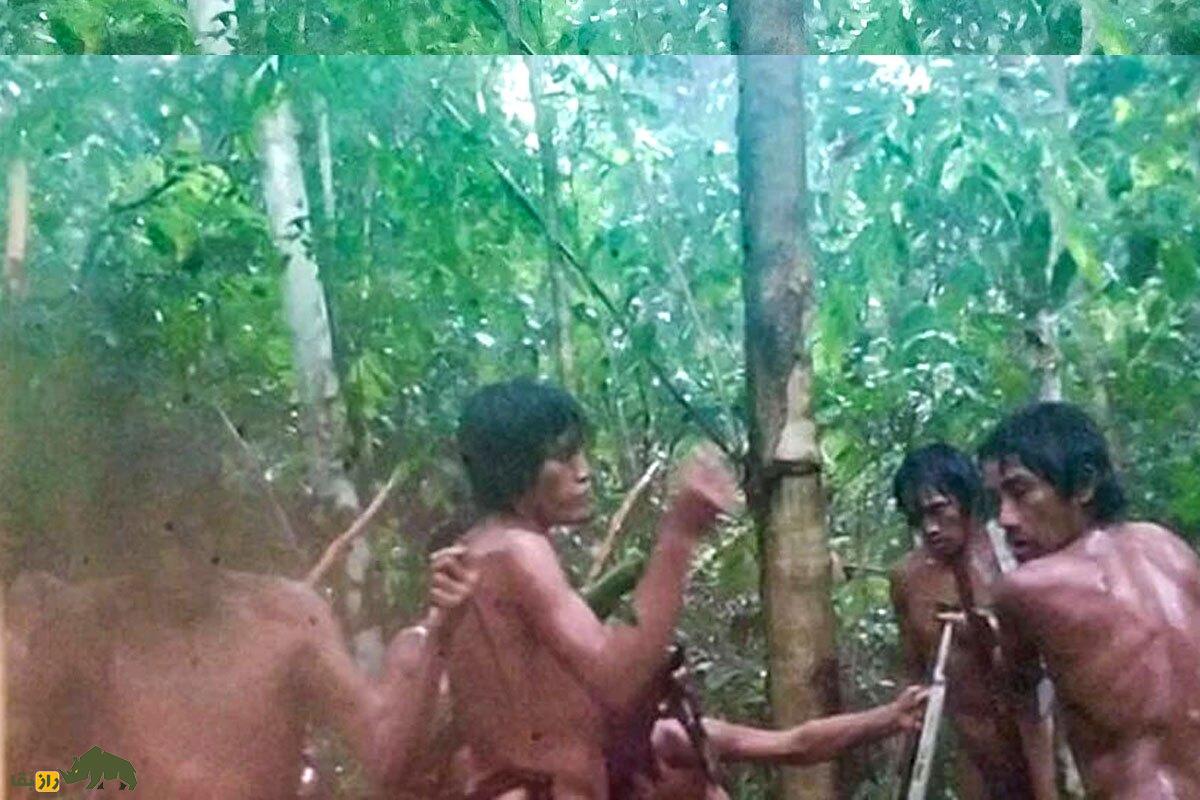 کشف یک قبیله جدید و ناشناخته در آمازون