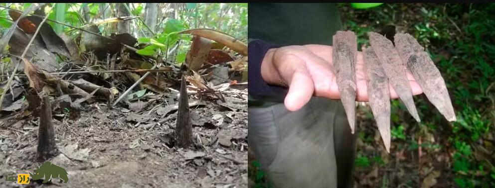 (تصاویر) کشف یک قبیله جدید و ناشناخته در آمازون؛ آنها مثل انسان‌های اولیه برهنه زندگی می‌کنند