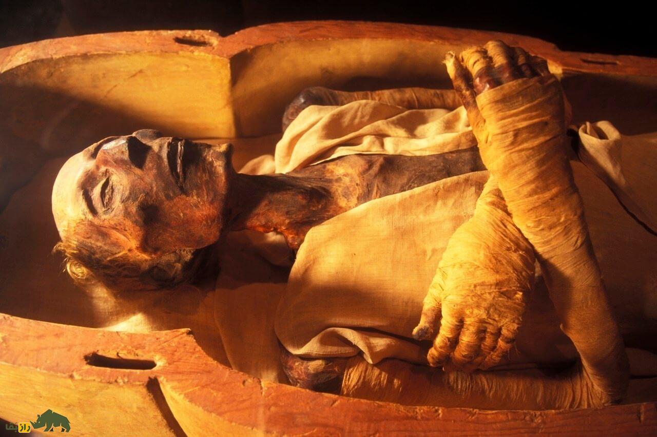 رامسس دوم؛ بزرگترین فرعون مصر که ۱۰۰ فرزند و دهها زن داشت رامسس دوم؛ بزرگترین فرعون مصر که ۱۰۰ فرزند و دهها زن داشت