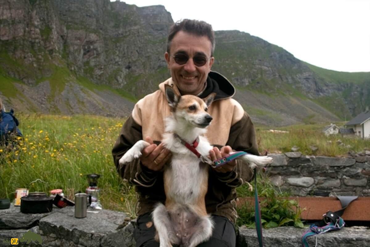 سگ نروژی لونداهاند؛ سگ وایکینگها که استاد بالارفتن از صخره و شکار پرندگان است سگ نروژی لونداهاند؛ سگ وایکینگها که استاد بالارفتن از صخره و شکار پرندگان است