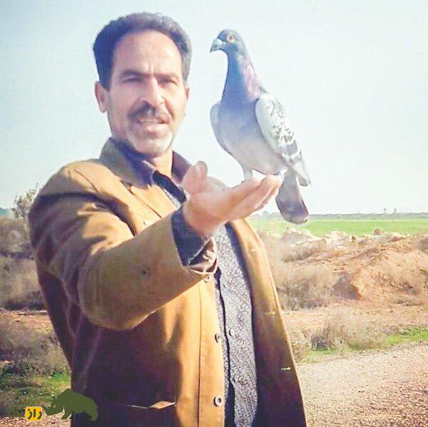 صادق سبطی؛ سلطان کبوتربازان جنوب ایران که با کبوترهای مسافتی حلب و الماس سیاه در جهان مشهور شده است صادق سبطی و یک کبوتر مسافتی