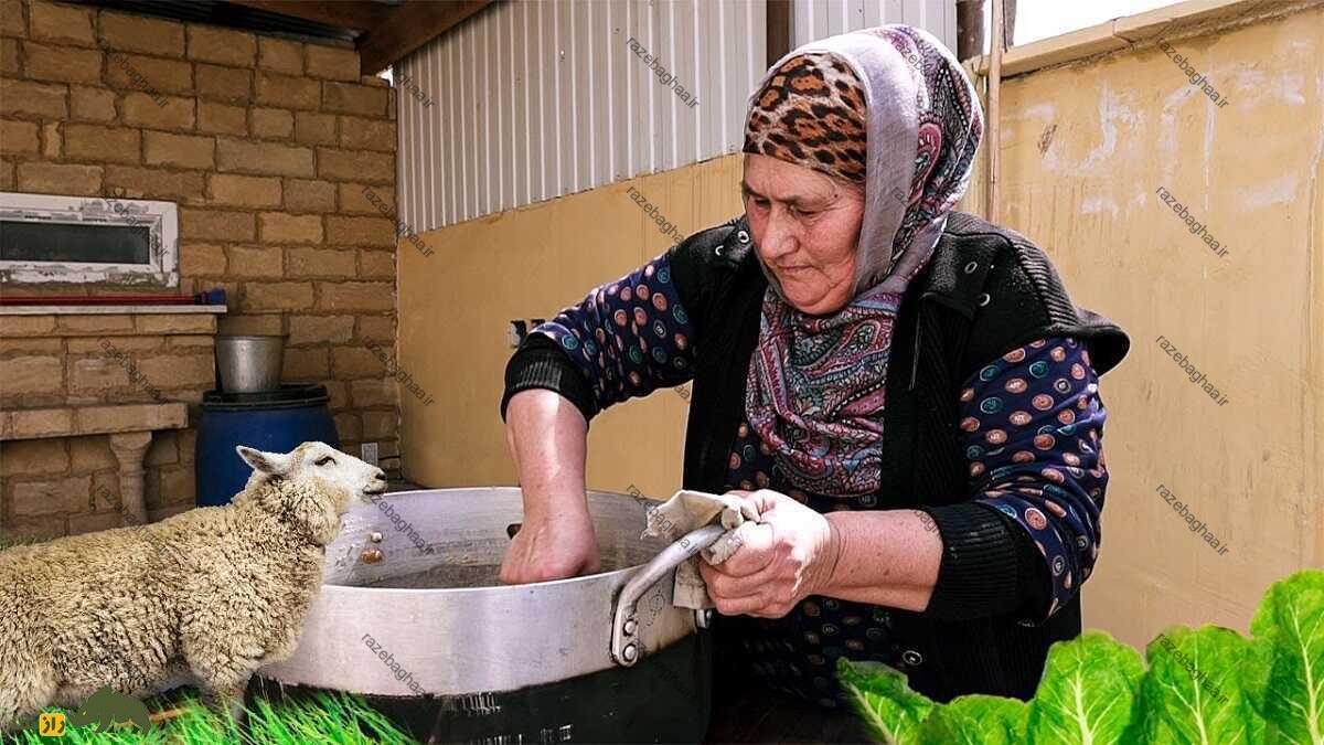 گوسفند لزگی؛ گوسفند داغستانی که استاد حرکت روی صخرهها و سطوح شیبدار است گوسفند لزگی؛ گوسفند داغستانی که استاد حرکت روی صخرهها و سطوح شیبدار است