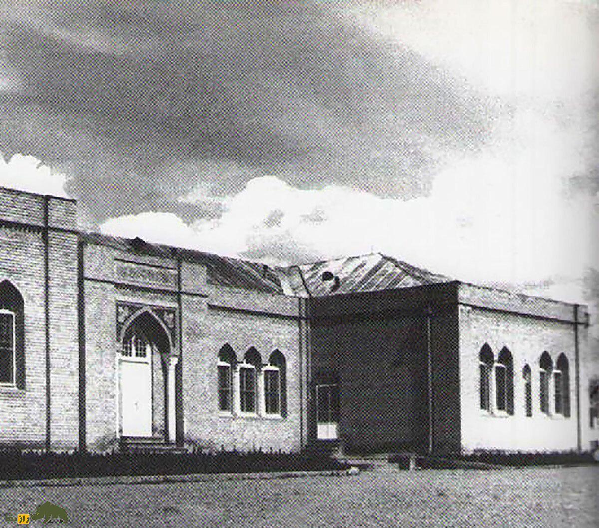 وقتی جان سربازان آمریکایی مدیون گاوهای مریض و مارهای ایران بود! وقتی جان سربازان آمریکایی مدیون گاوهای مریض و مارهای ایران بود!