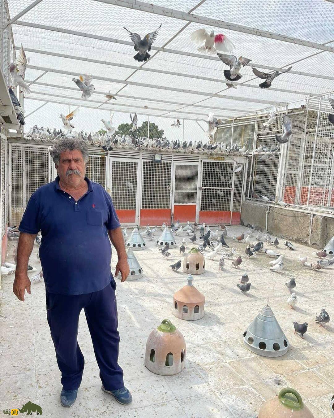 حاج عبدالله زواره معروف به «کوهی»؛ چهره ماندگار دنیای کبوتربازی ایران که ۴۰۰۰ هزار کبوتر را هزمان باهم پراند حاج عبدالله زواره معروف به «کوهی»؛ چهره ماندگار دنیای کبوتربازی ایران که ۴۰۰۰ هزار کبوتر را هزمان باهم پراند