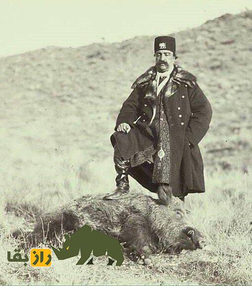 خوردن گراز در ایران خوردن گراز در ایران