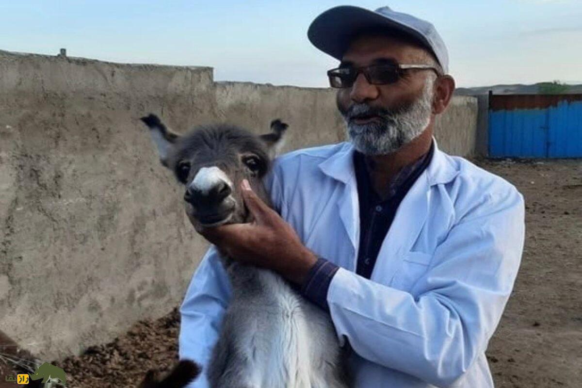 علی‌اکبر حاجی جمهوری؛ سلطان خر ایران و صاحب مرزعه «سُم طلا» که اولین بار الاغ‌های ایران را بیمه کرد