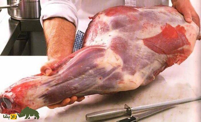گزارشی تکاندهنده از گرازخواری در ایران؛ لاشه گراز را تا ۱۰ میلیون میفروشیم! گزارشی تکاندهنده از گرازخواری در ایران؛ لاشه گراز را تا ۱۰ میلیون میفروشیم!