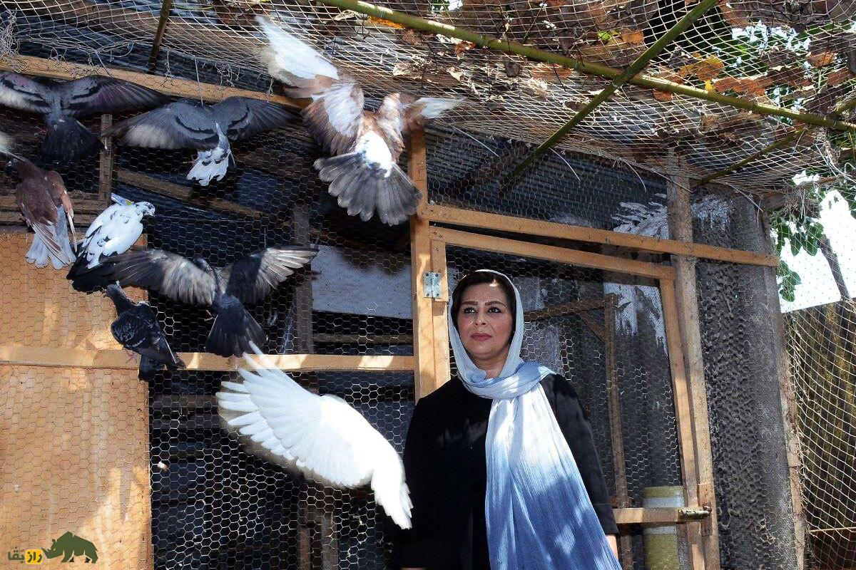 رویا سلیمی؛ داستان تلخ و شیرین اولین زن کبوتر باز ایران که در مسابقه گروبندی کبوتر شرکت کرد و پیروز شد رویا سلیمی در میان کبوترانش در شهر رشت