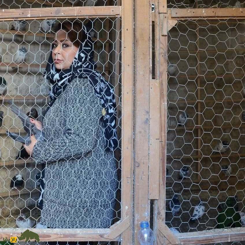 رویا سلیمی؛ داستان تلخ و شیرین اولین زن کبوتر باز ایران که در گروبندی کبوتر شرکت کرد و پیروز شد رویا سلیمی؛ داستان تلخ و شیرین اولین زن کبوتر باز ایران که در گروبندی کبوتر شرکت کرد و پیروز شد