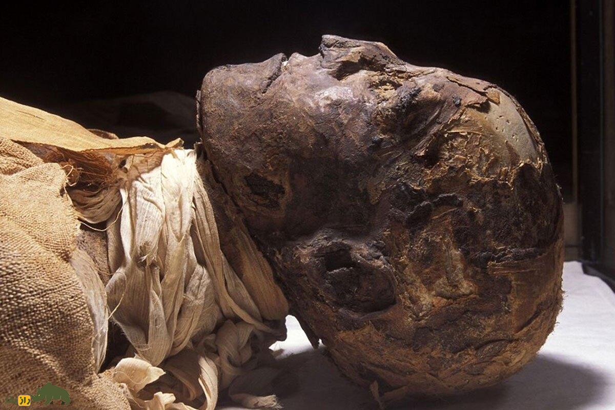 مومیاییهای مصری چه بویی میدهند و چرا افرادی که مومیایی بو میکنند سرنوشت وحشتناکی پیدا میکنند؟ مومیاییهای مصری