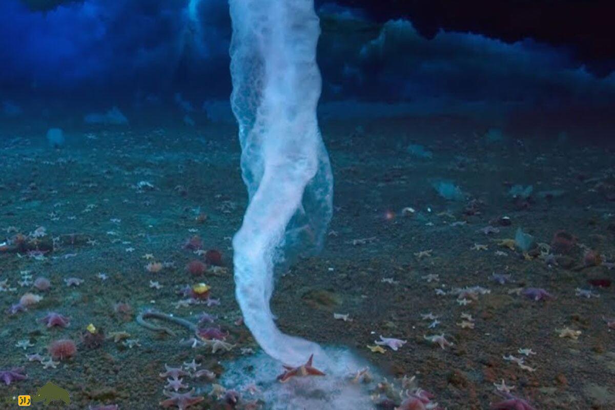 برینیکل؛ انگشت یخی مرگبار در اعماق اقیانوس پدیدهای نادر که هرچه لمس کند، منجمد میکند! برینیکل؛ انگشت یخی مرگبار در اعماق اقیانوس پدیدهای نادر که هرچه لمس کند، منجمد میکند!