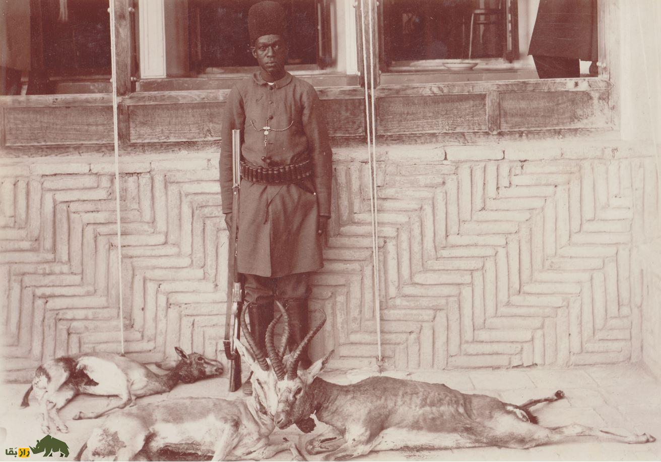ظلالسلطان؛ شاهزاده قاجاری که حیات وحش ایران را نابود کرد یک برده آفریقایی در کنار آهوهای شکار شده در دوره قاجار
