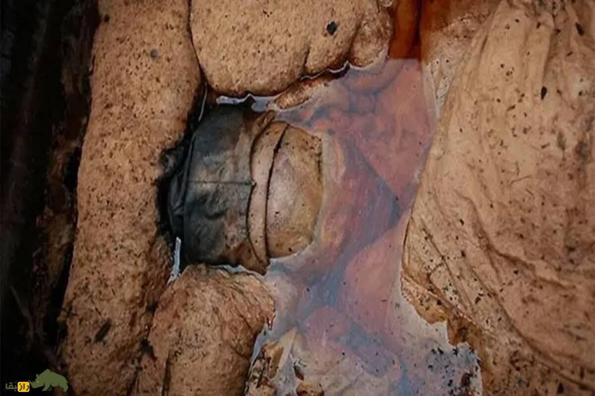 مومیایی کردن در چین؛ از مقبرههای مهرومومشده تا اجساد غرق در عسل مومیایی کردن در چین؛ از مقبرههای مهرومومشده تا اجساد غرق در عسل