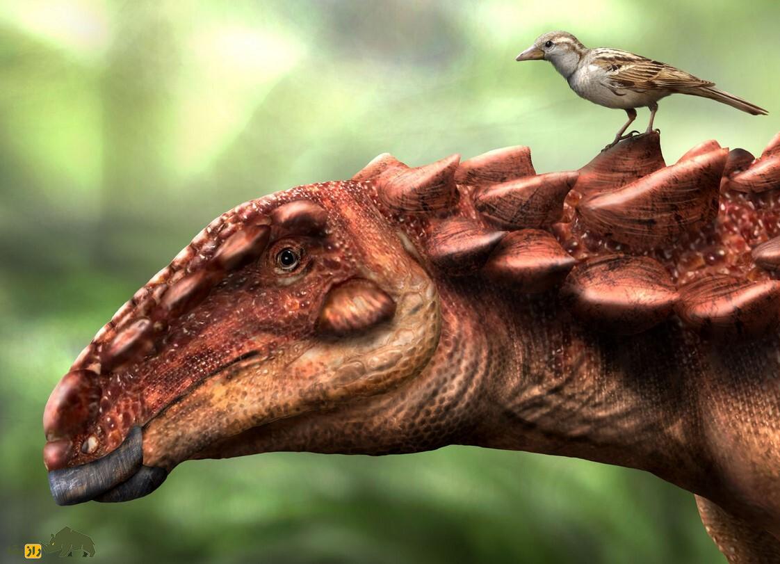 دایناسور زرهپوش؛ دایناسوری با جلیقه ضدگلوله که از مرگبارترین تصادف و ضربهها هم زنده بیرون میآمد! دایناسور زرهپوش؛ دایناسوری با جلیقه ضدگلوله که از مرگبارترین تصادف و ضربهها هم زنده بیرون میآمد!