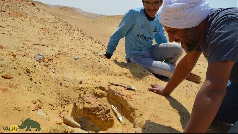 هایانودونت؛ سلطان واقعی جنگل که ۲۵ میلیون سال پیش منقرض شد و پادشاه جنگلهای مصر باستان بود باستان شناسان در حال کار در مصر