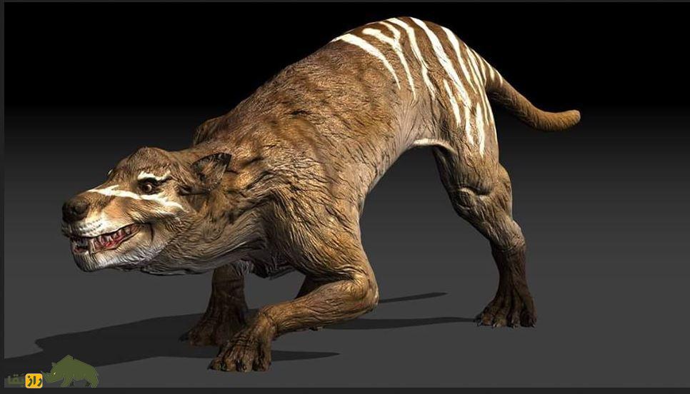 هایانودونت؛ سلطان واقعی جنگل که ۲۵ میلیون سال پیش منقرض شد و پادشاه جنگلهای مصر باستان بود هایانودونت