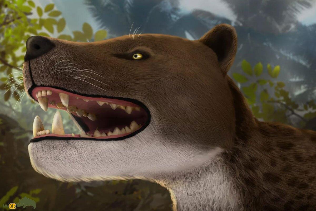 هایانودونت؛ سلطان واقعی جنگل که ۲۵ میلیون سال پیش منقرض شد و پادشاه جنگلهای مصر باستان بود هایانودونت