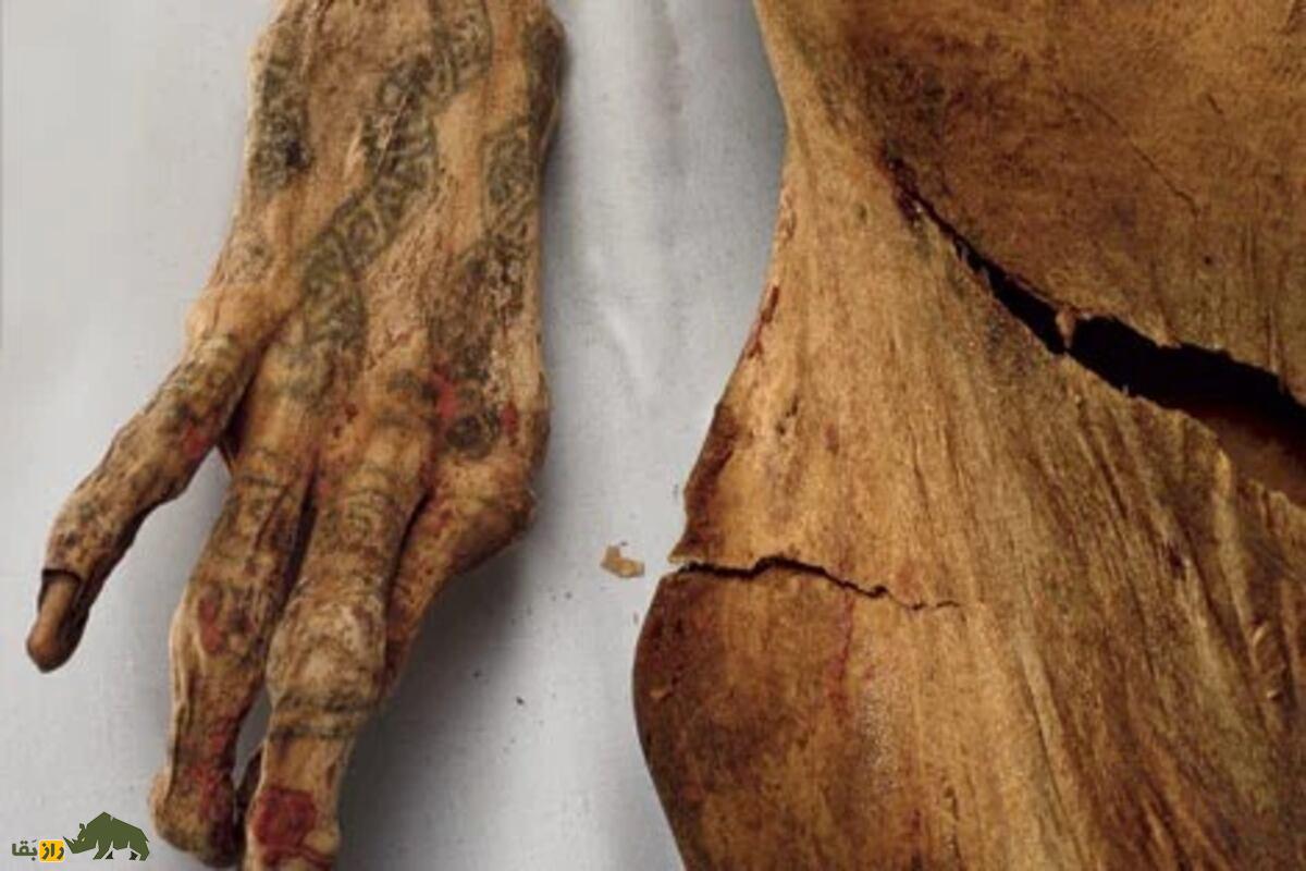 شگفتی تاریخ: کشف دست مومیایی شهبانوی مصری با حنای باقیمانده روی ناخنها شگفتی تاریخ: کشف دست مومیایی شهبانوی مصری با حنای باقیمانده روی ناخنها
