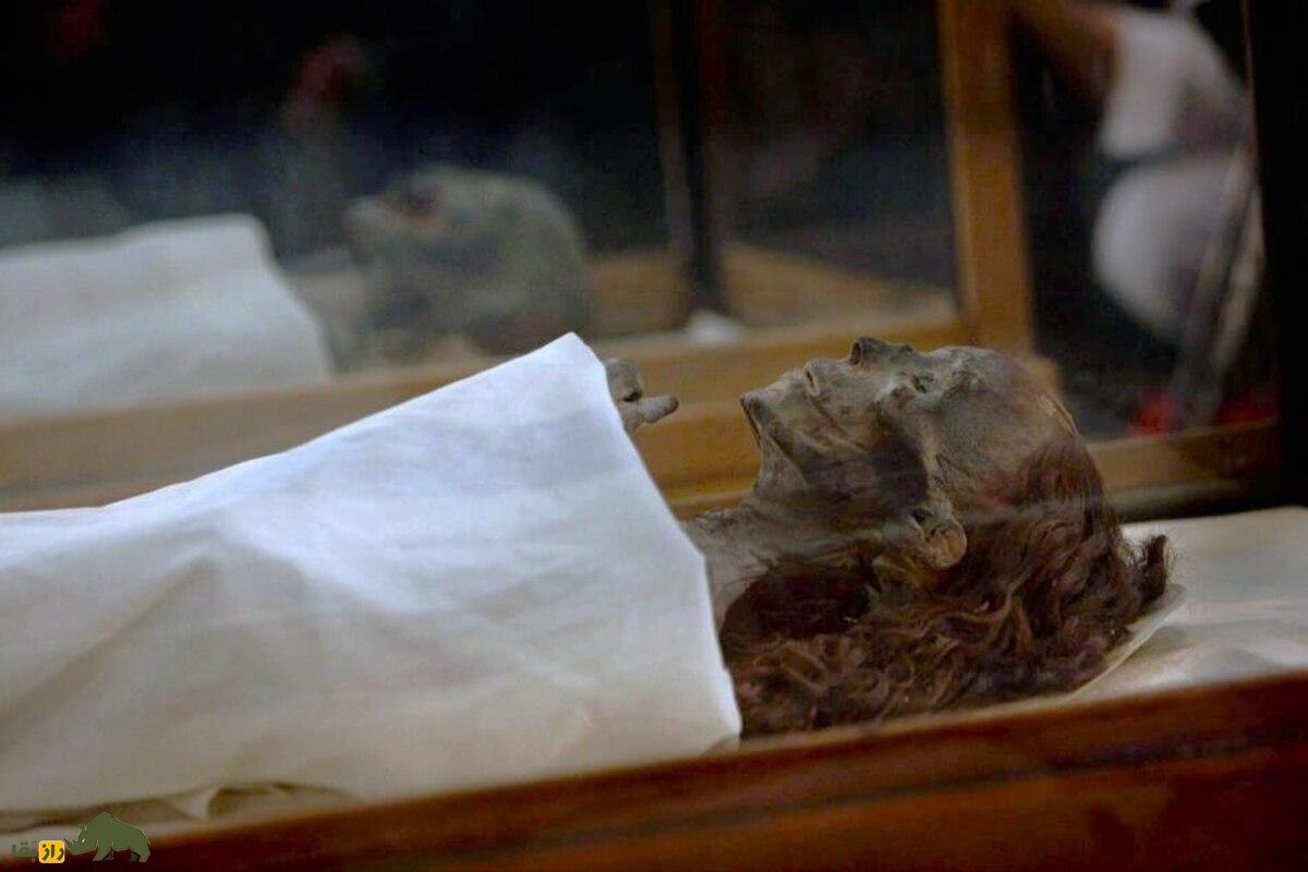 شگفتی تاریخ: کشف دست مومیایی شهبانوی مصری با حنای باقیمانده روی ناخنها شگفتی تاریخ: کشف دست مومیایی شهبانوی مصری با حنای باقیمانده روی ناخنها