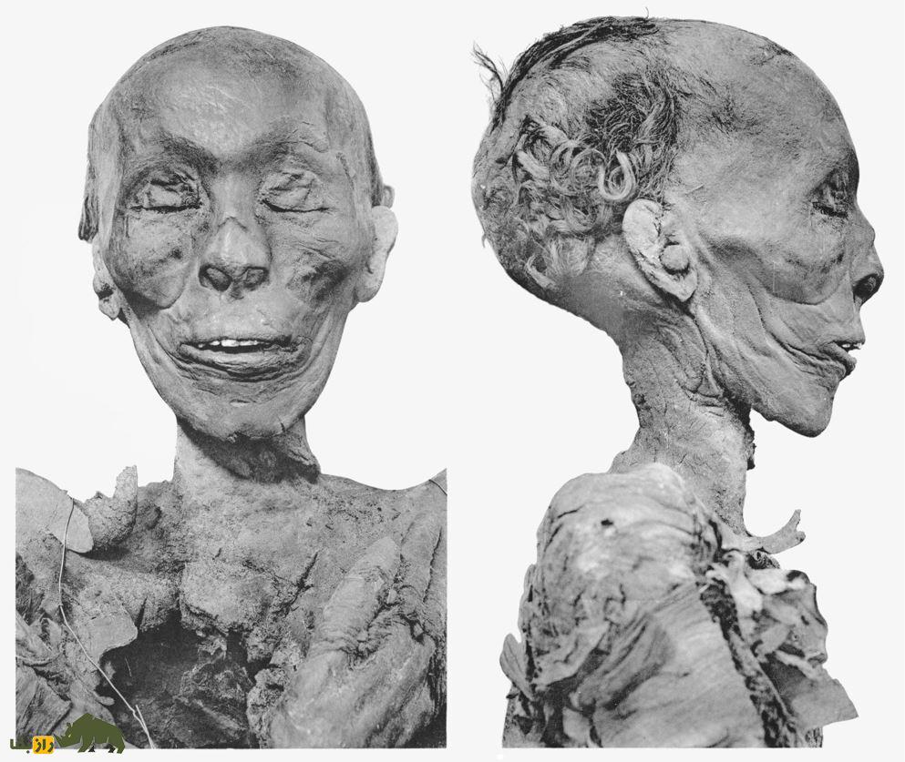 کشف تاریخی در مصر؛ مقبره گمشده فرعون بزرگ پس از ۳۵۰۰ سال کشف شد چهره مومیایی شده یک فرعون مصر