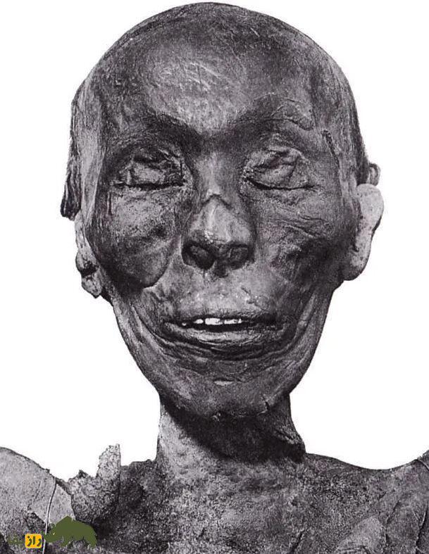 کشف تاریخی در مصر؛ مقبره گمشده فرعون بزرگ پس از ۳۵۰۰ سال کشف شد چهره مومیایی شده یک فرعون مصر