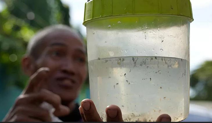 تحت تعقیب، زنده یا مرده؛ پشه شکار کنید و جایزه بگیرید!