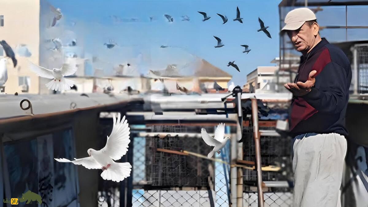 سیروس چناری؛ مشهورترین کبوترباز ایران و اروپا با رکورد ۱۹ ساعت و ۳۸ دقیقه که کبوتر سیاه رستاخیز را به وجود آورد