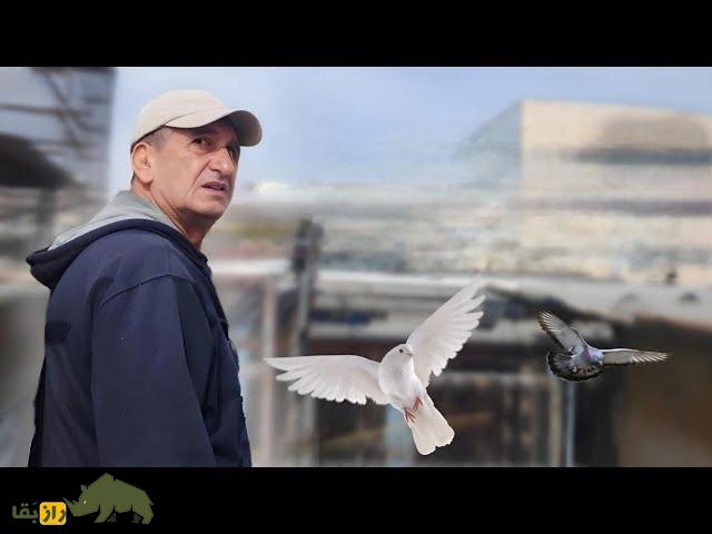 سیروس چناری