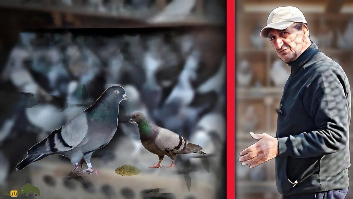 سیروس چناری