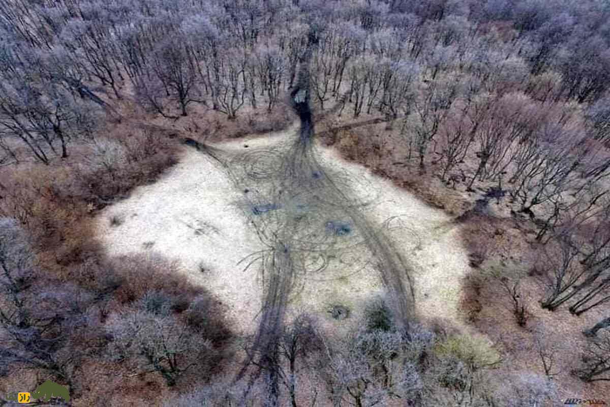 جنگل تسخیرشده Hoia Baciu؛ دروازه‌ای به دنیای ارواح و ناپدیدشدگان!