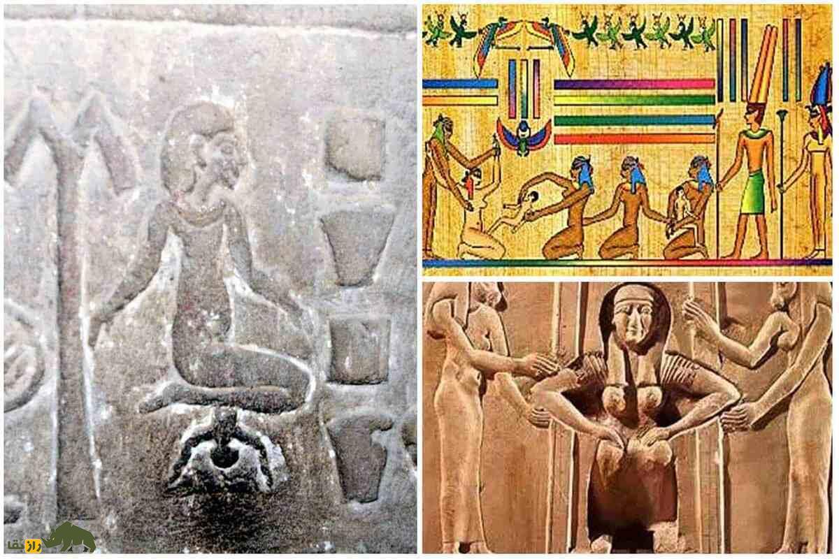 پیشگیری از بارداری در مصر باستان؛ حقیقت مدفوع تمساح بهعنوان دارو پیشگیری از بارداری در مصر باستان؛ حقیقت مدفوع تمساح بهعنوان دارو