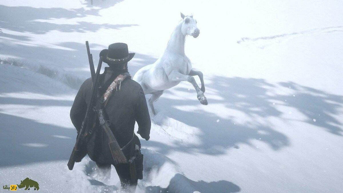 اسب آلبانیایی