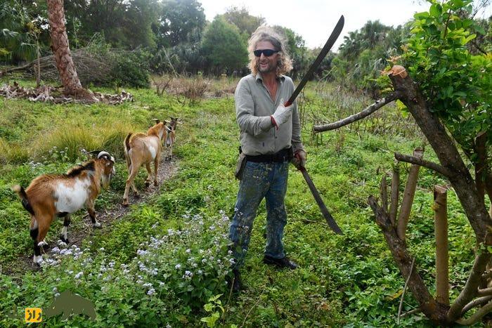 بز «اس آر دی» یا «چوه»؛ بز برزیلی مشهوری که در سن پاییه به بلوغ جنسی میرسد و به چندقلوزایی معروف است بز «اس آر دی» یا «چوه»؛ بز برزیلی مشهوری که در سن پاییه به بلوغ جنسی میرسد و به چندقلوزایی معروف است