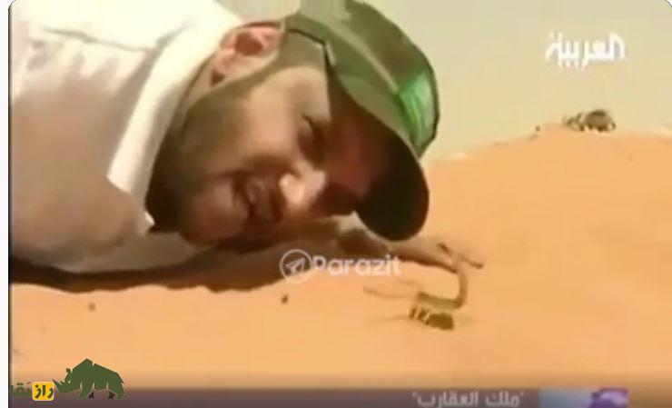 ماجد المالکی؛ مرد عربستانی معروف به سلطان عقرب جهان که ۲۲ عقرب زنده را در ۲۰ ثانیه خورد ماجد المالکی؛ مرد عربستانی معروف به سلطان عقرب جهان که ۲۲ عقرب زنده را در ۲۰ ثانیه خورد