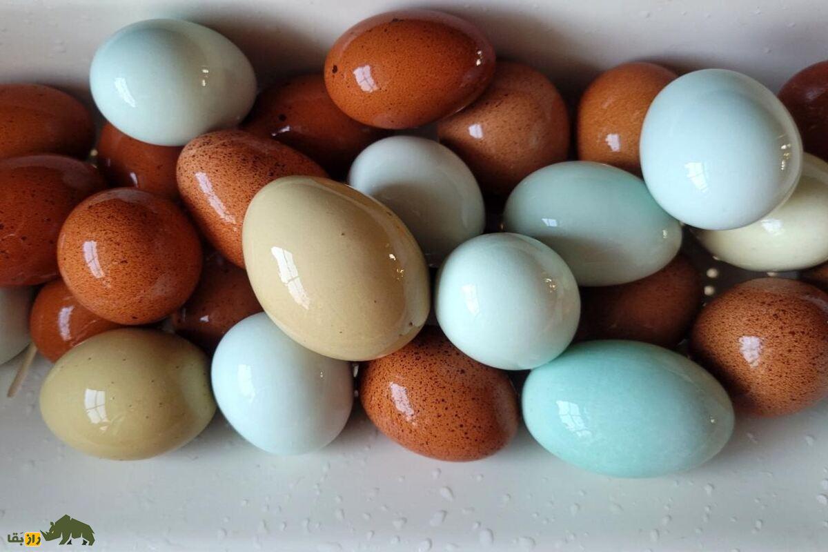 مرغ‌های کریم لگبار