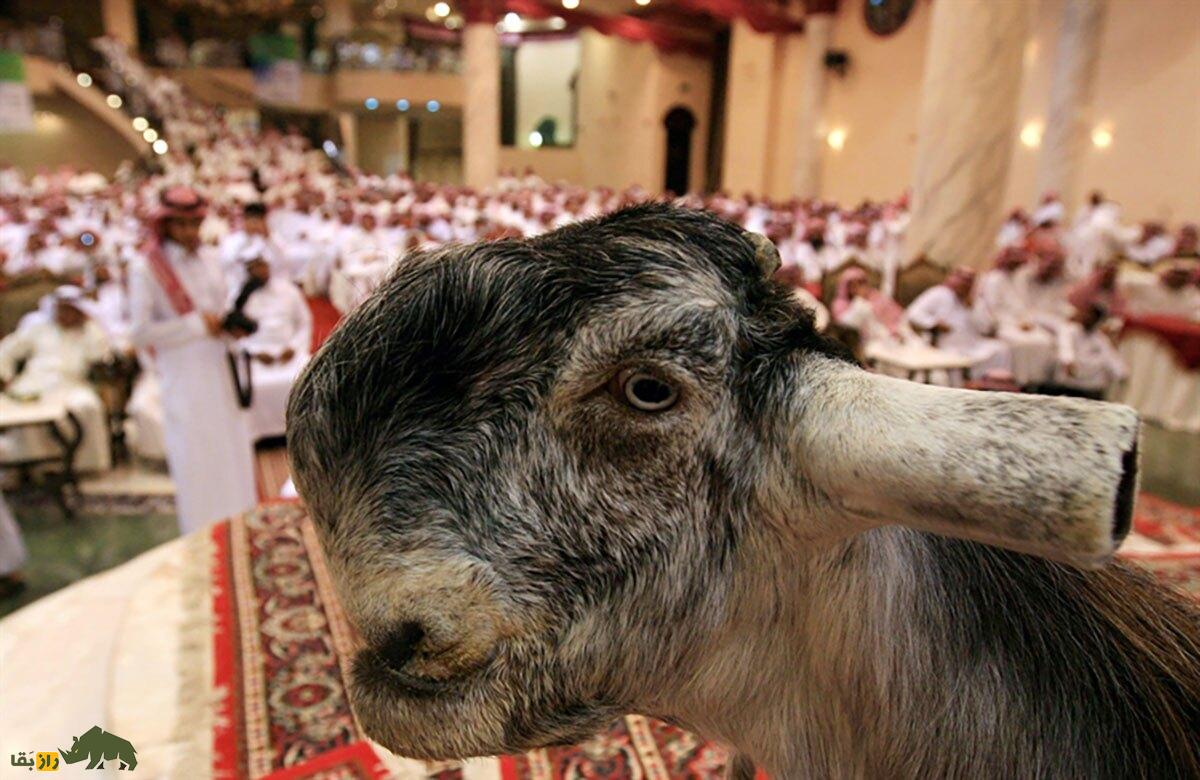 بز دمشقی؛ فیلمی از ترسناکترین بز جهان که شبیه شیطان است و مردم از خوردن گوشت آن میترسند بز دمشقی