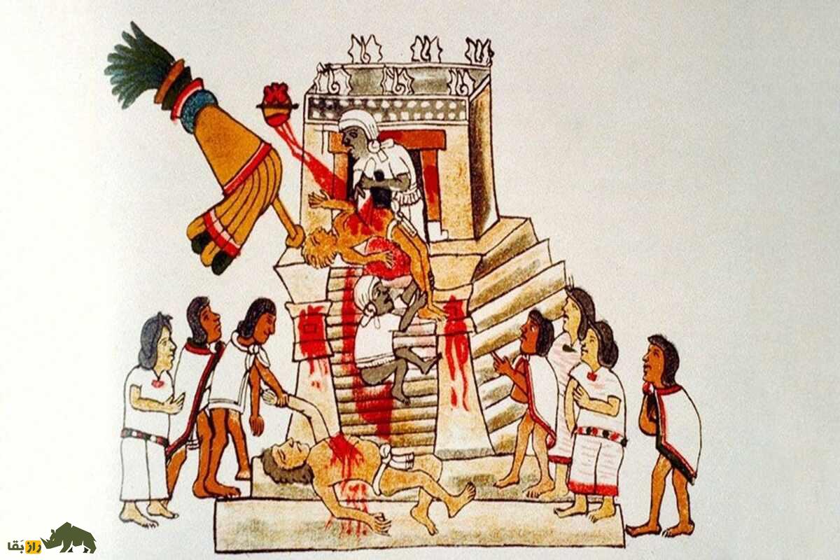 آزتکها قربانیان زیبای خود را انتخاب میکردند تا یک سال بعد در مراسم وحشتناک خورده شوند! آزتکها قربانیان زیبای خود را انتخاب میکردند تا یک سال بعد در مراسم وحشتناک خورده شوند!