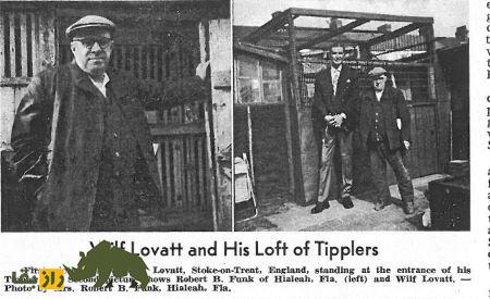 ویلف لاوات؛ اسطوره انگلیسی و معروفترین کبوترباز دنیا که مرزهای پروازی کبوتر «تیپلر» را جابجا کرد ویلف لاوات؛ اسطوره انگلیسی و معروفترین کبوترباز دنیا که مرزهای پروازی کبوتر «تیپلر» را جابجا کرد