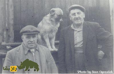 ویلف لاوات؛ اسطوره انگلیسی و معروفترین کبوترباز دنیا که مرزهای پروازی کبوتر «تیپلر» را جابجا کرد ویلف لاوات