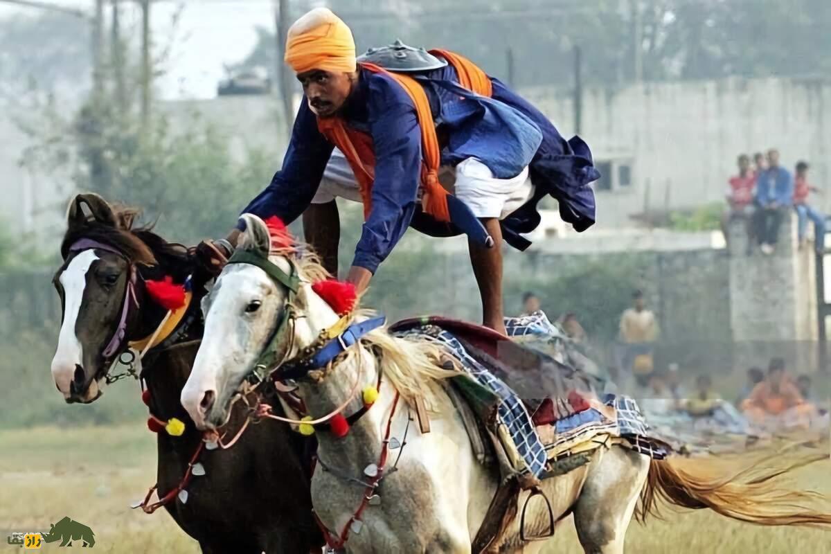 اسب پنجابی