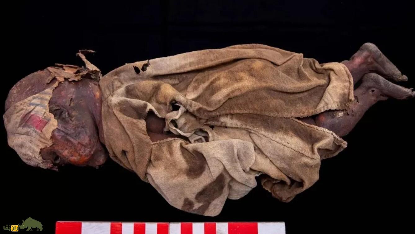 کشف بزرگ مقبره سلطنتی ۳۶۰۰ ساله در مصر با مومیایی عجیب یک کودک کشف بزرگ مقبره سلطنتی ۳۶۰۰ ساله در مصر با مومیایی عجیب یک کودک