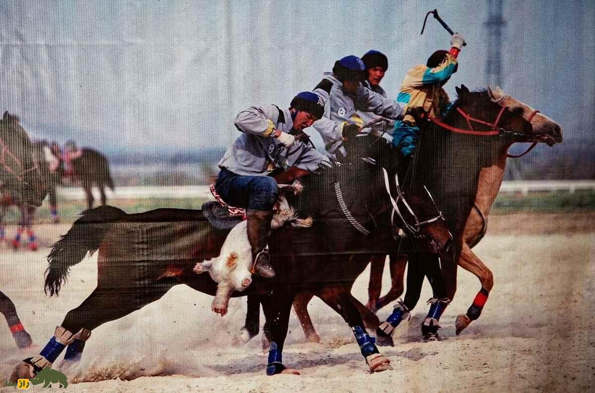 اسب کوستانای