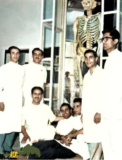 سیاه خان لپویی؛ داستان «انسان جنزده» که عجیبالخلقهترین مرد ایران بود و اسکلت آن در شیراز نگهداری میشود سیاه خان لپویی؛ داستان «انسان جنزده» که عجیبالخلقهترین مرد ایران بود و اسکلت آن در شیراز نگهداری میشود