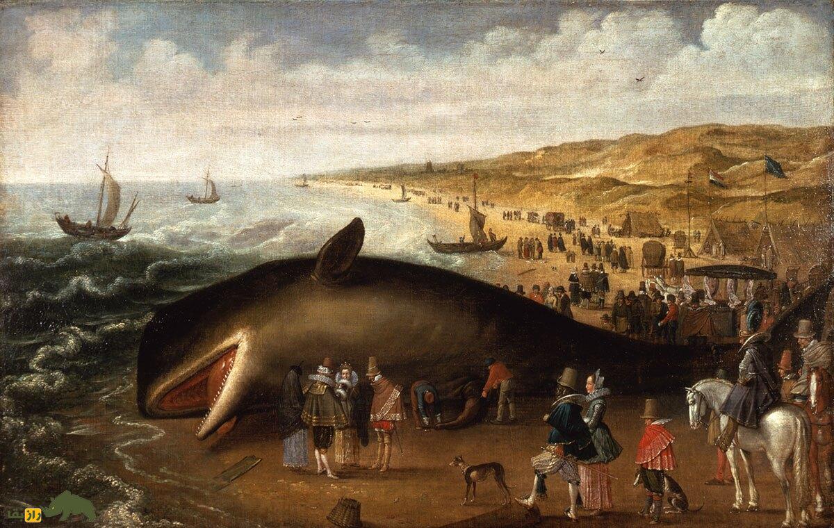 یک تابلو نقاشی مربوط به خودکشی نهنگ در قرن 17