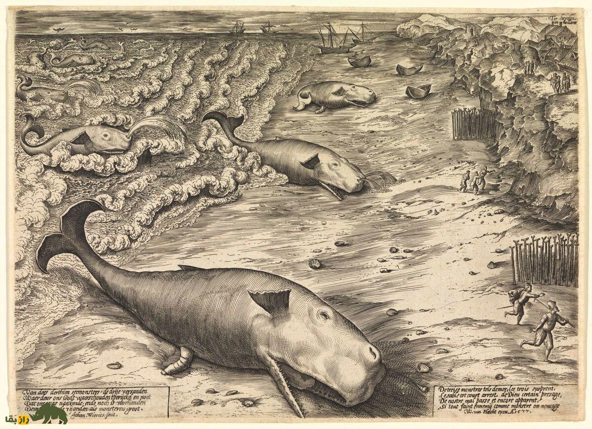 تابلو نقاشی از خودکشی نهنگ ها