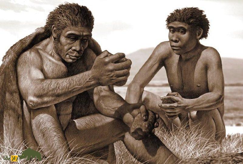 جد انسانهای امروزی که ۵۰۰۰۰۰ سال پیش میزیست که بود؟ جد انسانهای امروزی که ۵۰۰۰۰۰ سال پیش میزیست که بود؟